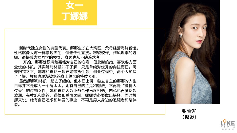 电视剧《何不乘风起》项目书