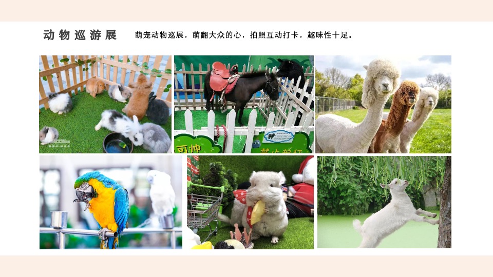 商业地产5月月度暖场（遇见五月主题）活动策划方案