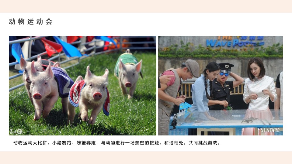 商业地产5月月度暖场（遇见五月主题）活动策划方案