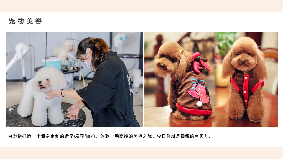 商业地产5月月度暖场（遇见五月主题）活动策划方案