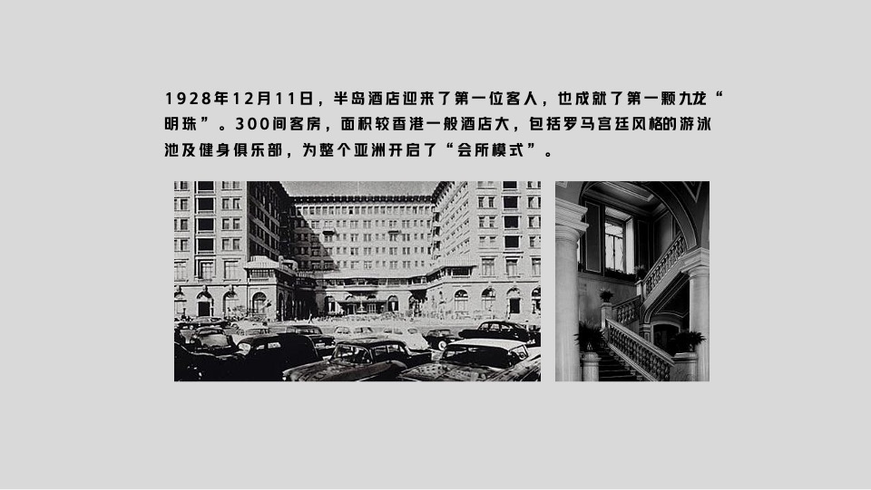 青岛越秀·铂悦府洋房叠墅项目故事线推广提报