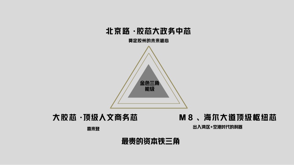 青岛越秀·铂悦府洋房叠墅项目故事线推广提报