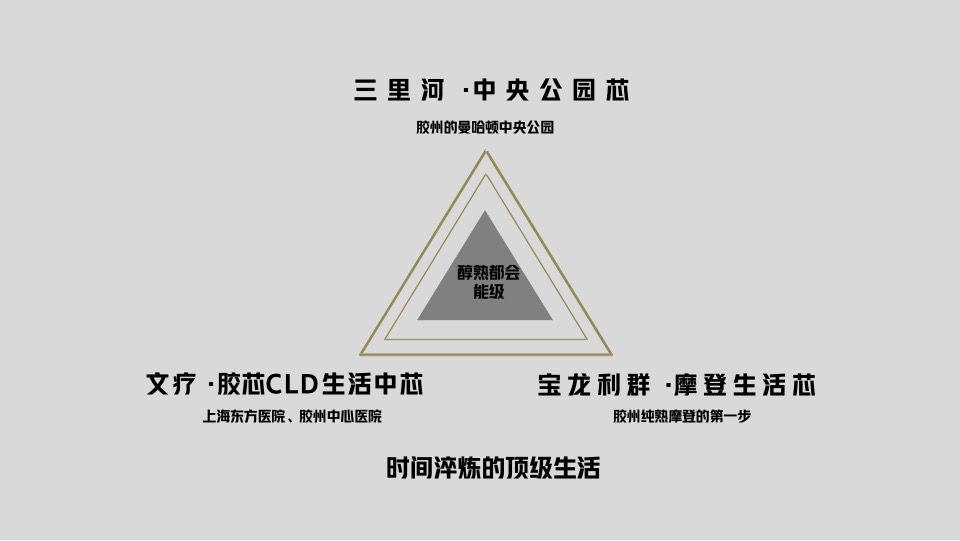 青岛越秀·铂悦府洋房叠墅项目故事线推广提报