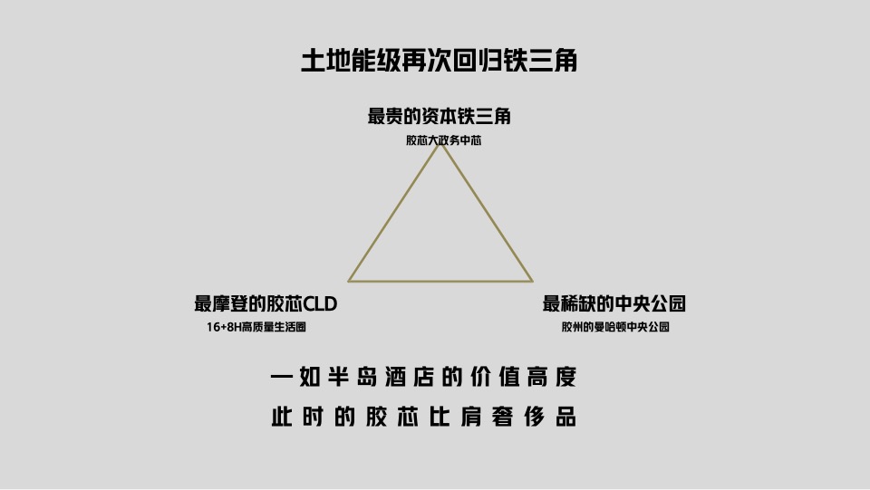 青岛越秀·铂悦府洋房叠墅项目故事线推广提报