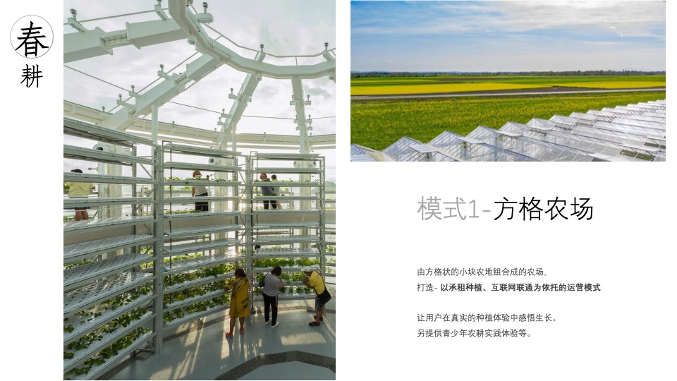 景区湿地露营地年度策划方案