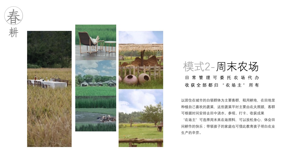 景区湿地露营地年度策划方案