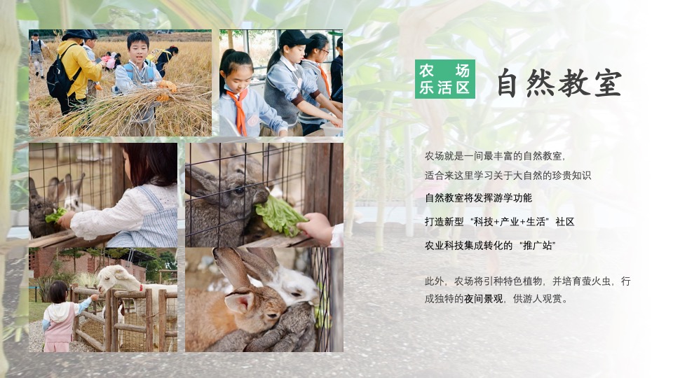 景区湿地露营地年度策划方案