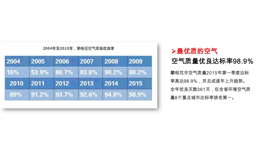 攀枝花康养项目整合传播策略案