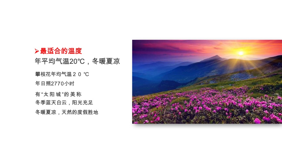 攀枝花康养项目整合传播策略案