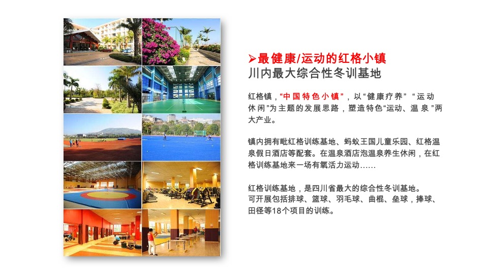 攀枝花康养项目整合传播策略案