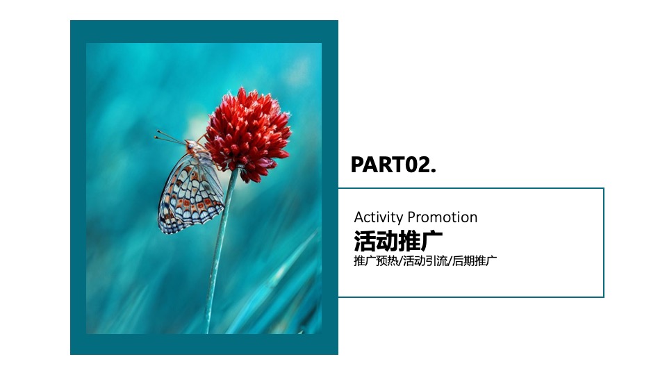 文旅景区五一文化旅游节系列活动策划方案