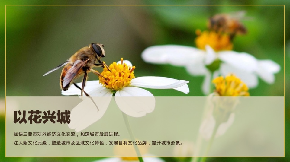 三亚国际花卉旅游节活动策划案