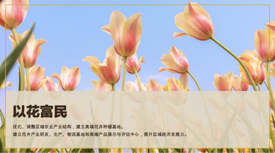 三亚国际花卉旅游节活动策划案