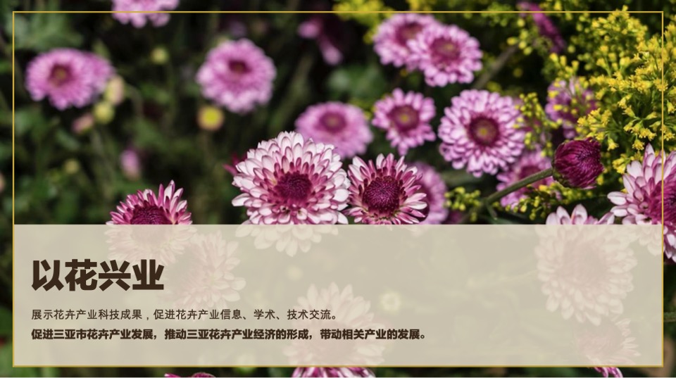 三亚国际花卉旅游节活动策划案