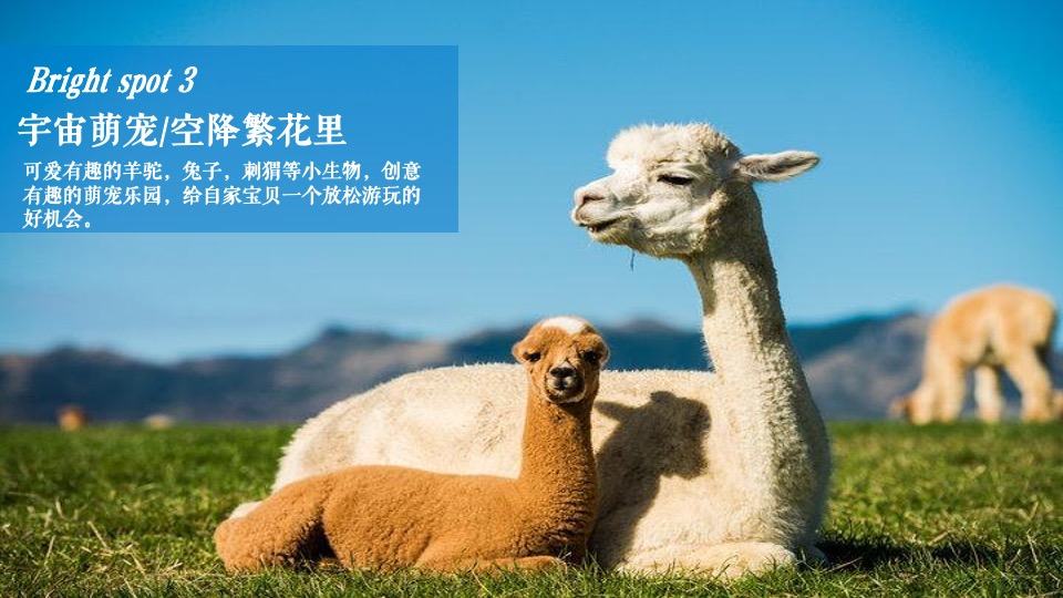 地产项目春日萌宠聚会系列（院子里的理想假期主题）活动策划方案