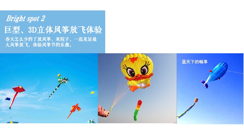 地产项目春日萌宠聚会系列（院子里的理想假期主题）活动策划方案