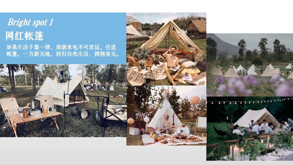 地产项目春日萌宠聚会系列（院子里的理想假期主题）活动策划方案