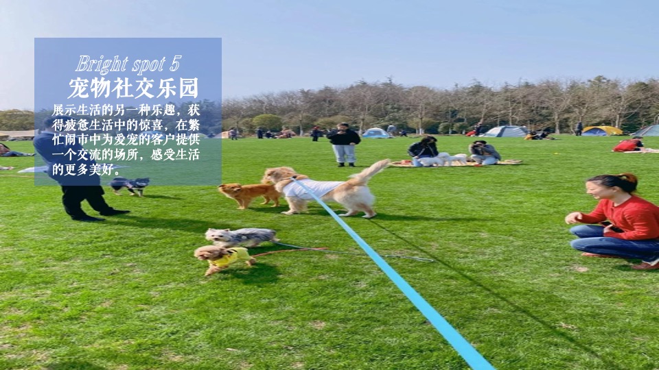 地产项目春日萌宠聚会系列（院子里的理想假期主题）活动策划方案