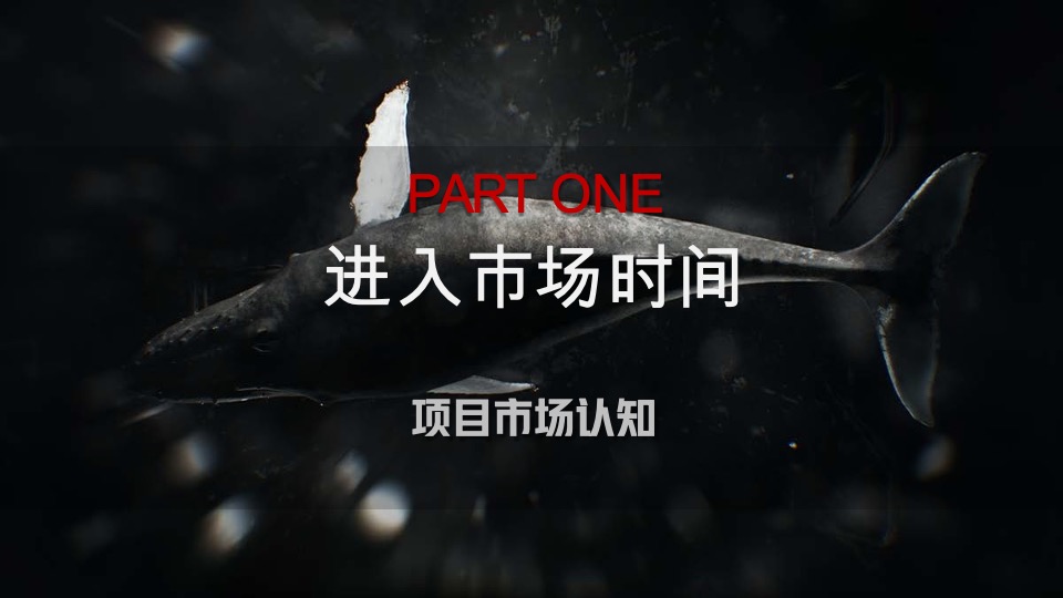 宁波荣安·浅山芳华推广提报#洋房叠墅##都会生态#