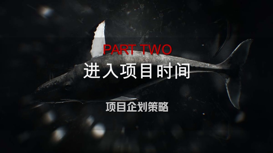 宁波荣安·浅山芳华推广提报#洋房叠墅##都会生态#