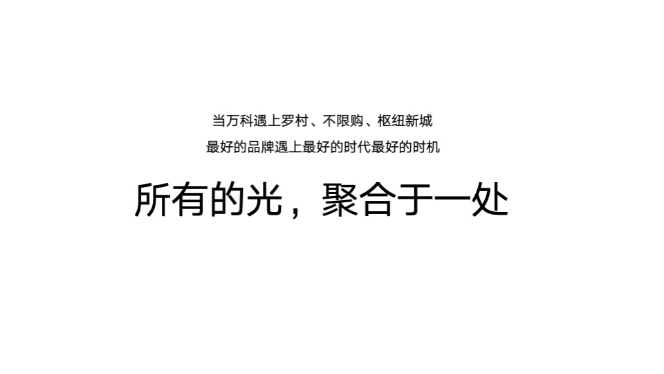 万科罗村项目推广策略