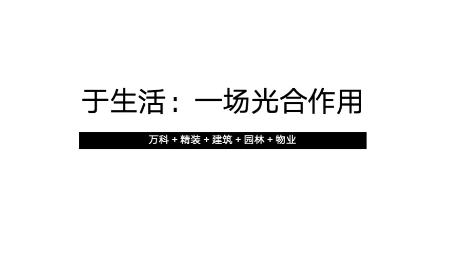 万科罗村项目推广策略