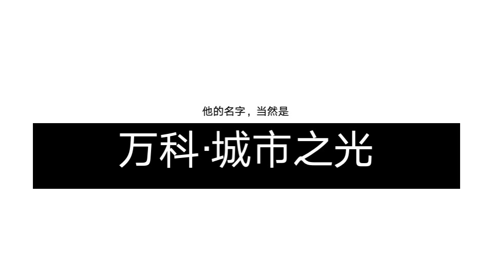 万科罗村项目推广策略