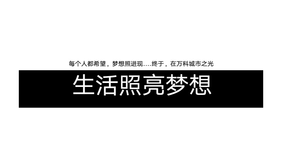 万科罗村项目推广策略