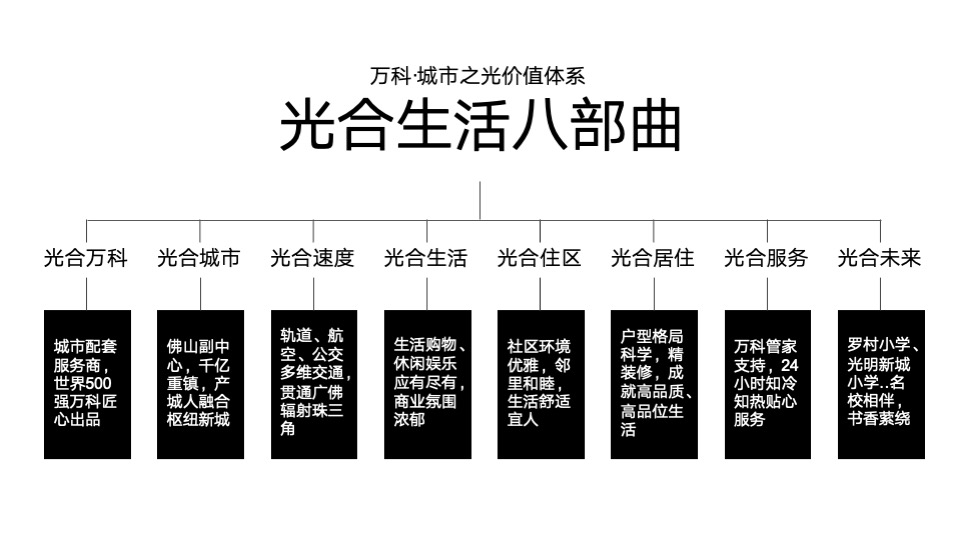 万科罗村项目推广策略