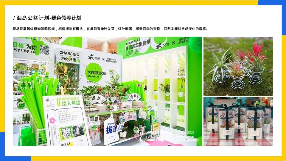 澳海云杉赋五一主题活动策划案