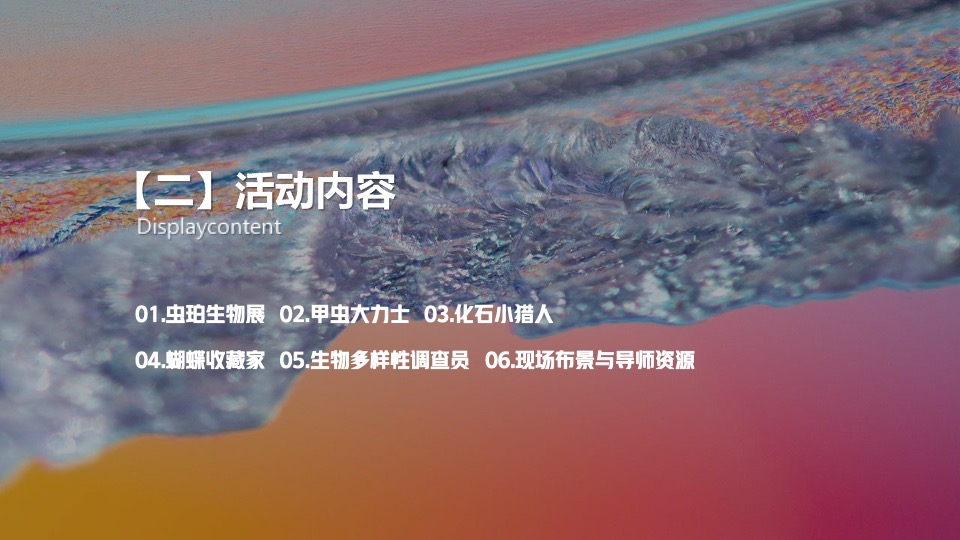 自然科普嘉年华高端亲子教育系列探索生命发现自然主题科普活动策划方案