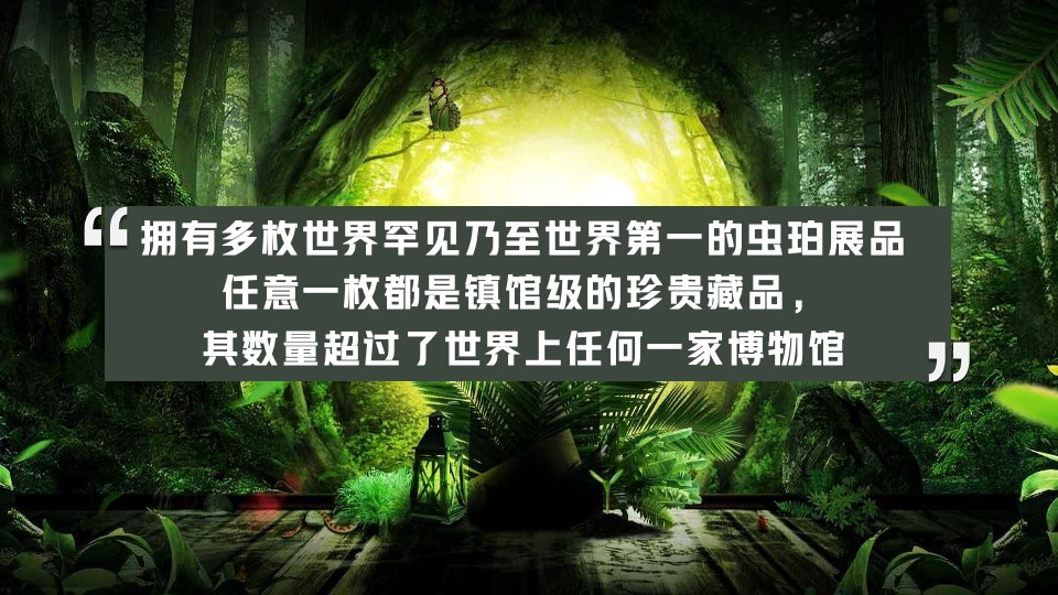 自然科普嘉年华高端亲子教育系列探索生命发现自然主题科普活动策划方案