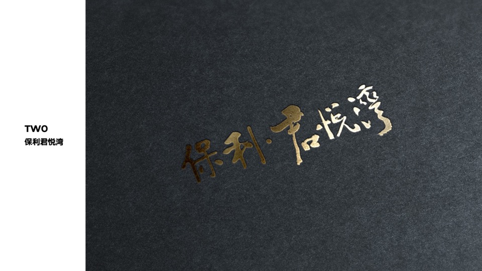 广州龙光天璞推广策略案#产品系首入##岭南#