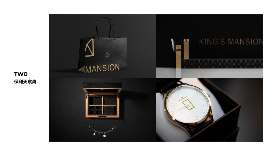 广州龙光天璞推广策略案#产品系首入##岭南#