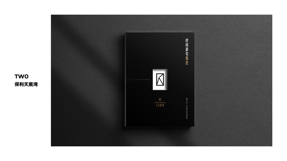 广州龙光天璞推广策略案#产品系首入##岭南#