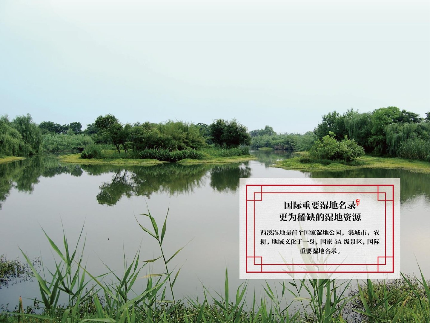 绿城·西溪雲庐项目推介PPT #湿地公园# #院墅# #中式#