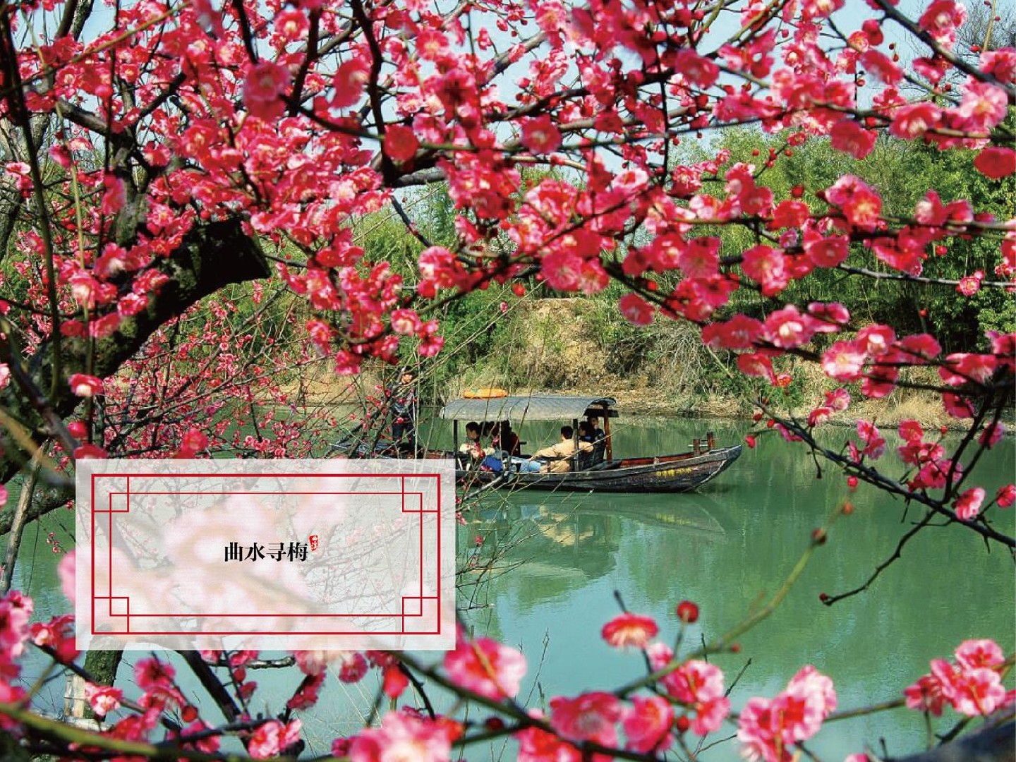 绿城·西溪雲庐项目推介PPT #湿地公园# #院墅# #中式#