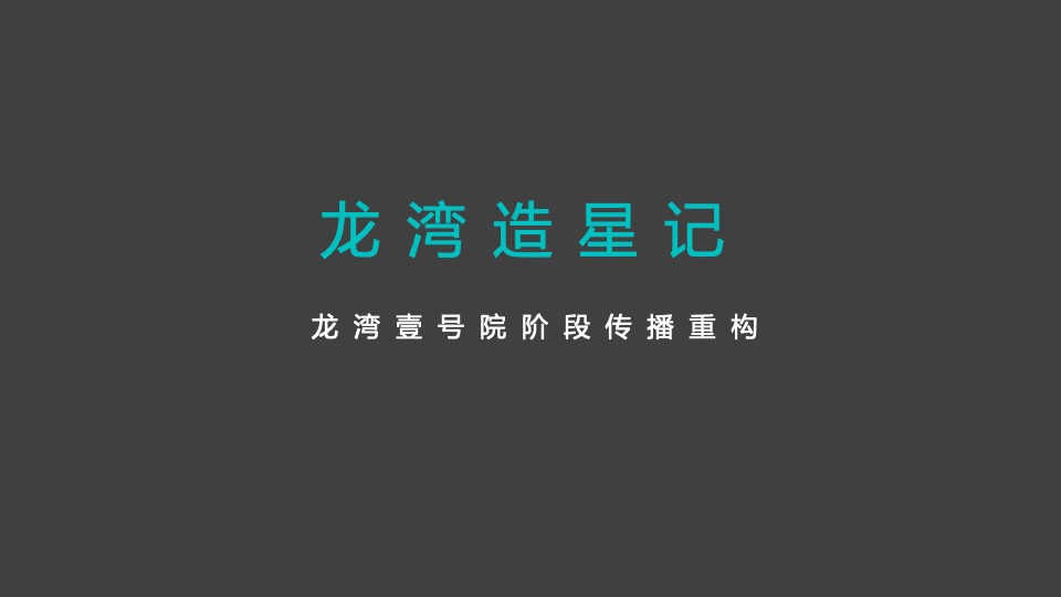 隆海·龙湾壹号院5-7月营销策划案 #海景# #联排# #庭院#