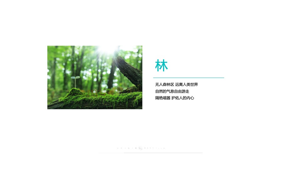 隆海·龙湾壹号院5-7月营销策划案 #海景# #联排# #庭院#