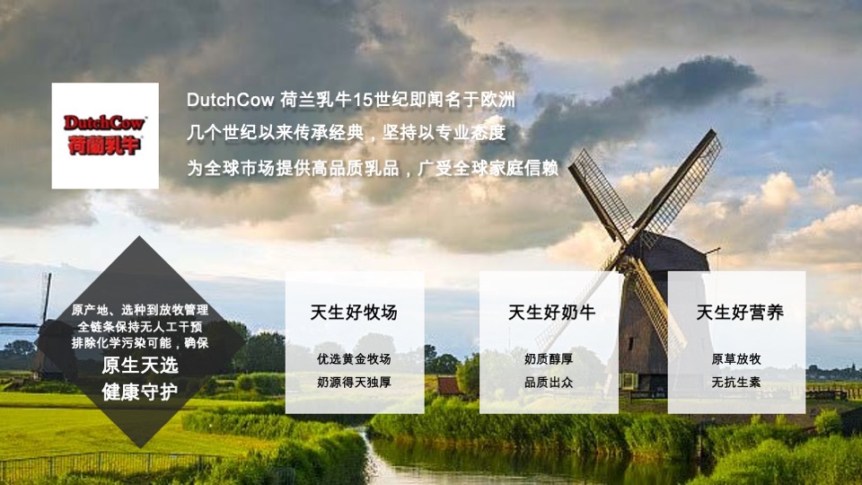 食品荷兰乳牛麦片终版提案