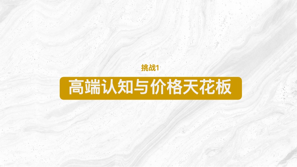 长沙五矿·万境澜岸推广策略提报 #叠墅# #洋房# #豪宅#