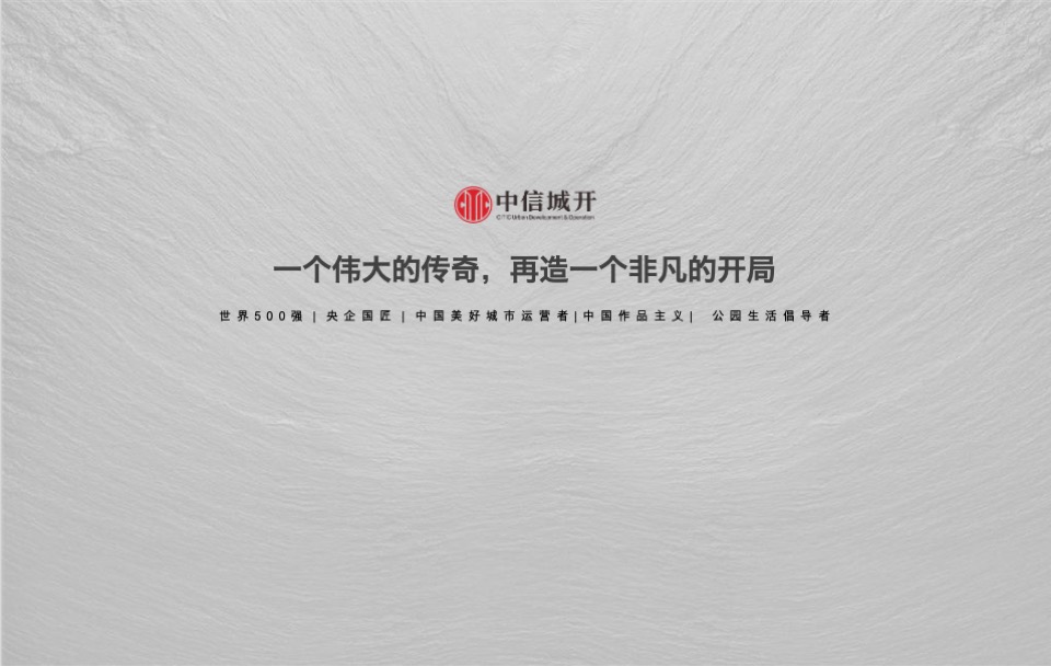 中信森林湖项目推广提报#湖居##豪宅##产城#-青铜骑士