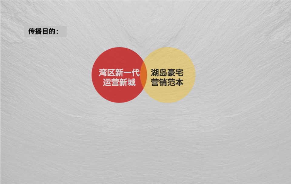 中信森林湖项目推广提报#湖居##豪宅##产城#-青铜骑士