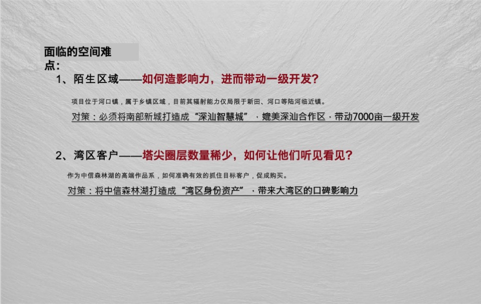 中信森林湖项目推广提报#湖居##豪宅##产城#-青铜骑士