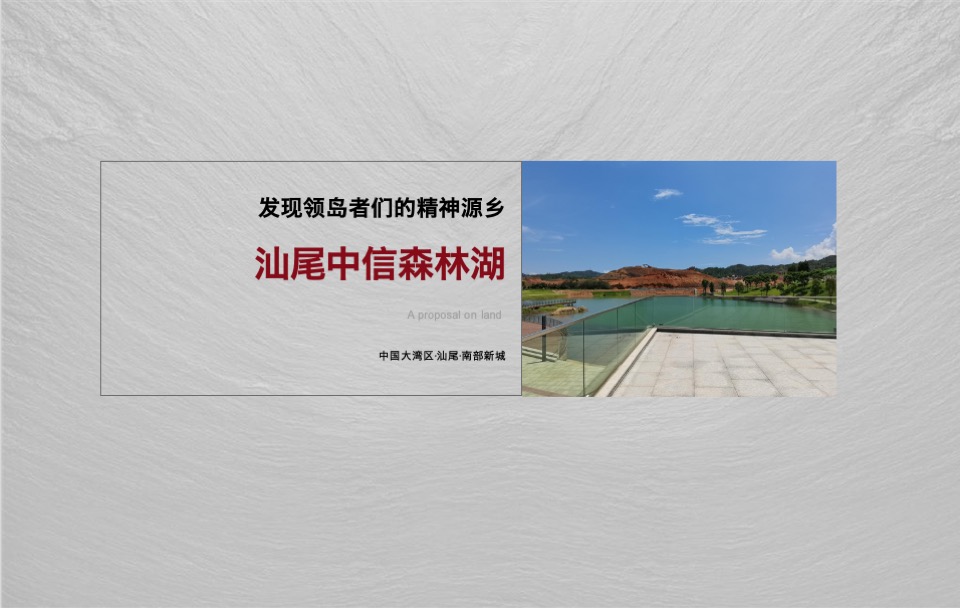 中信森林湖项目推广提报#湖居##豪宅##产城#-青铜骑士