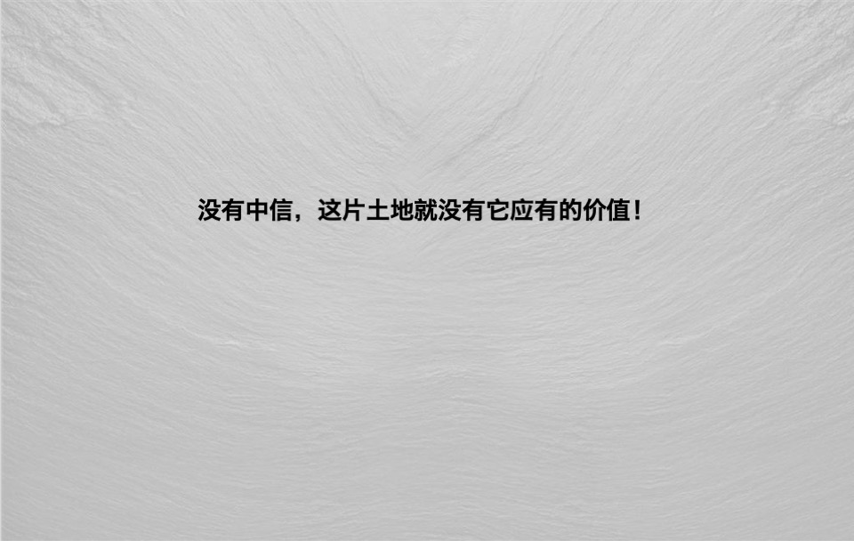 中信森林湖项目推广提报#湖居##豪宅##产城#-青铜骑士