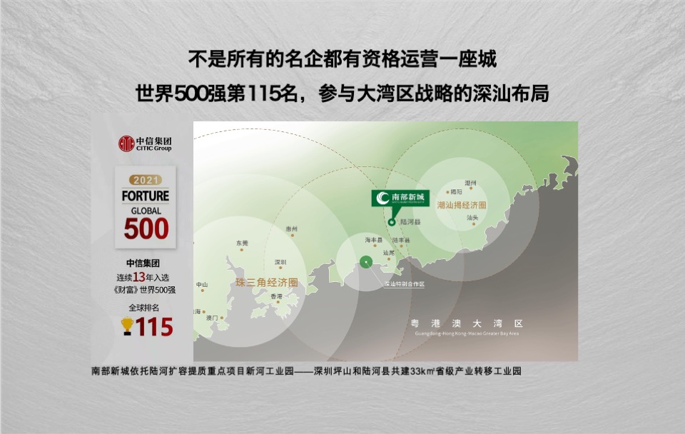 中信森林湖项目推广提报#湖居##豪宅##产城#-青铜骑士