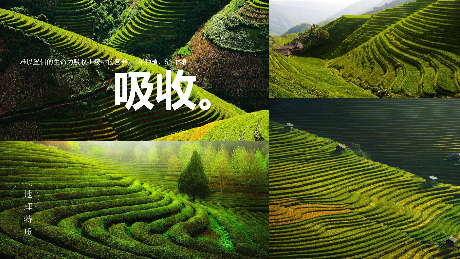 从产品卖点看品牌整合营销