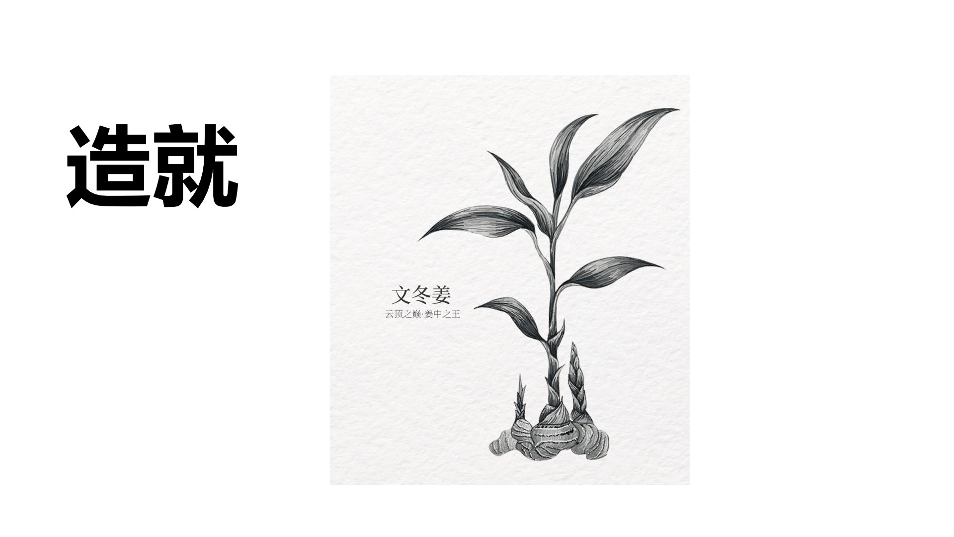 从产品卖点看品牌整合营销