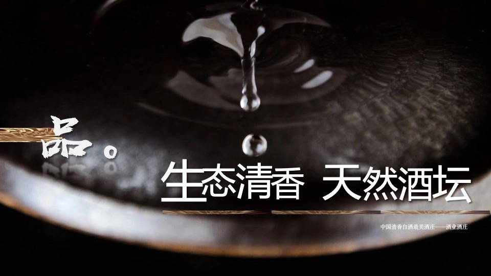 白酒品牌第一届供应商大会（携手庞泉 聚力共赢主题）活动策划方案